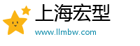 上海宏型
